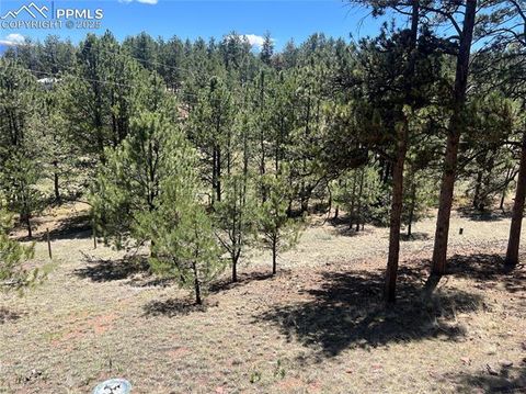 Tiny photo for 936 Matterhorn Drive, Florissant, CO 80816 (MLS # 9858741)