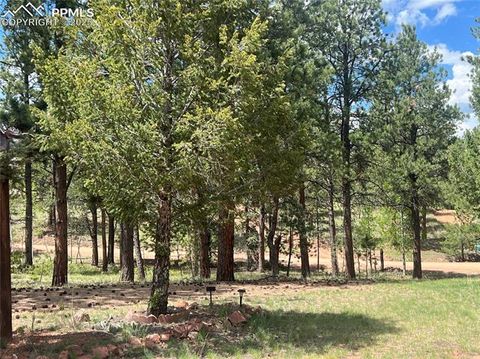 Tiny photo for 936 Matterhorn Drive, Florissant, CO 80816 (MLS # 9858741)