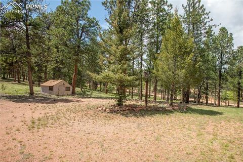 Tiny photo for 936 Matterhorn Drive, Florissant, CO 80816 (MLS # 9858741)