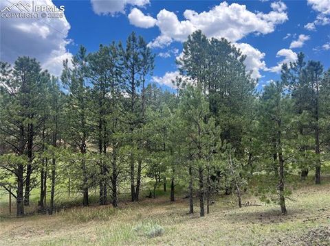 Tiny photo for 936 Matterhorn Drive, Florissant, CO 80816 (MLS # 9858741)