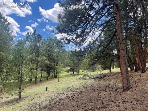 Tiny photo for 936 Matterhorn Drive, Florissant, CO 80816 (MLS # 9858741)