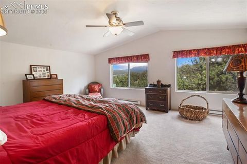 Tiny photo for 936 Matterhorn Drive, Florissant, CO 80816 (MLS # 9858741)