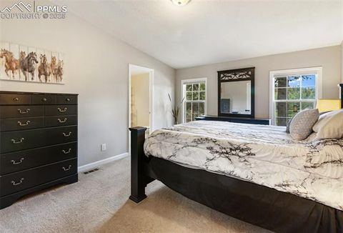 Tiny photo for 192 Silbani Trail, Florissant, CO 80816 (MLS # 9724063)