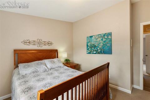 Tiny photo for 192 Silbani Trail, Florissant, CO 80816 (MLS # 9724063)