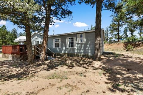 Photo of 192 Silbani Trail, Florissant, CO 80816 (MLS # 9724063)