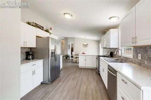 Tiny photo for 192 Silbani Trail, Florissant, CO 80816 (MLS # 9724063)