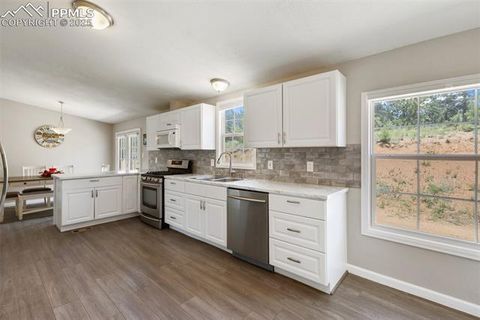 Tiny photo for 192 Silbani Trail, Florissant, CO 80816 (MLS # 9724063)