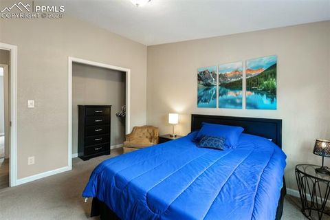 Tiny photo for 192 Silbani Trail, Florissant, CO 80816 (MLS # 9724063)