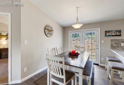 Tiny photo for 192 Silbani Trail, Florissant, CO 80816 (MLS # 9724063)