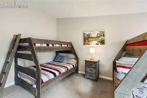 Tiny photo for 192 Silbani Trail, Florissant, CO 80816 (MLS # 9724063)