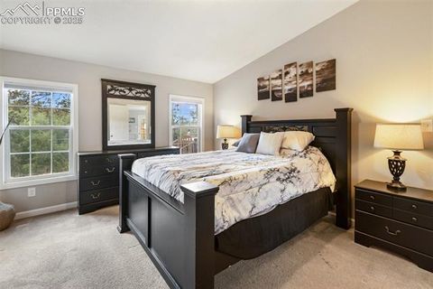 Tiny photo for 192 Silbani Trail, Florissant, CO 80816 (MLS # 9724063)