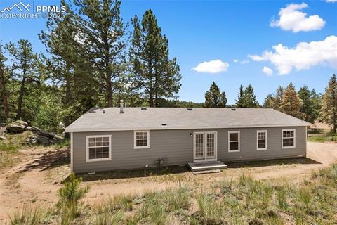 Tiny photo for 192 Silbani Trail, Florissant, CO 80816 (MLS # 9724063)