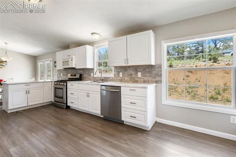 Tiny photo for 192 Silbani Trail, Florissant, CO 80816 (MLS # 9724063)