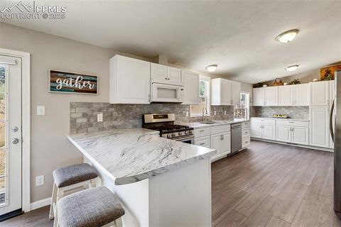 Tiny photo for 192 Silbani Trail, Florissant, CO 80816 (MLS # 9724063)