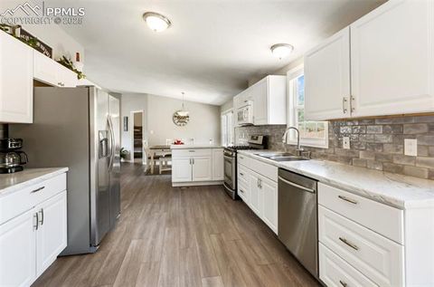 Tiny photo for 192 Silbani Trail, Florissant, CO 80816 (MLS # 9724063)