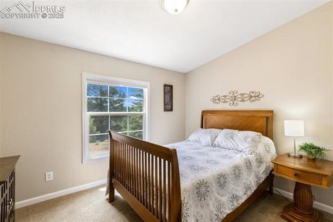 Tiny photo for 192 Silbani Trail, Florissant, CO 80816 (MLS # 9724063)