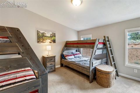 Tiny photo for 192 Silbani Trail, Florissant, CO 80816 (MLS # 9724063)