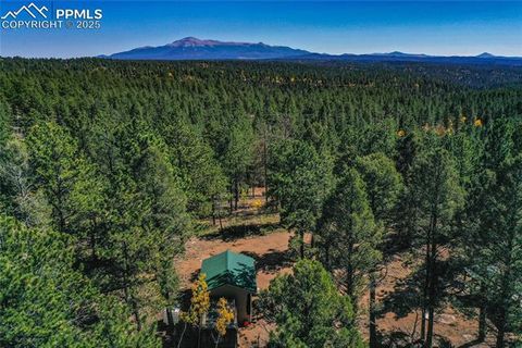 Photo of 3447 Pathfinder Road, Florissant, CO 80816 (MLS # 3980044) Photo of 3447 Pathfinder Road, Florissant, CO 80816 (MLS # 3980044)