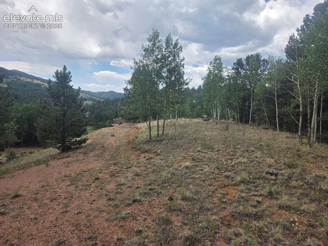 Photo 1 of 14 — 1124 Yorktown Road, Cripple Creek, CO 80813