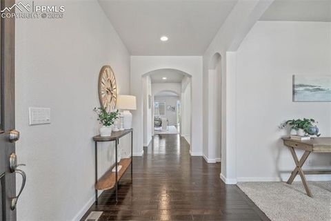 Tiny photo for 5859 Leon Young Drive, Colorado Springs, CO 80924 (MLS # 9119753)