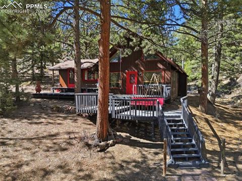 Photo of 799 Canyon Drive, Guffey, CO 80820 (MLS # 6030994)