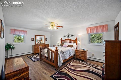 Tiny photo for 400 Sunnywood Lane, Woodland Park, CO 80863 (MLS # 6597548)
