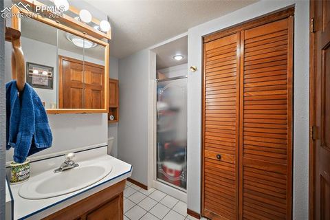 Tiny photo for 400 Sunnywood Lane, Woodland Park, CO 80863 (MLS # 6597548)