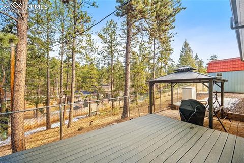 Tiny photo for 400 Sunnywood Lane, Woodland Park, CO 80863 (MLS # 6597548)