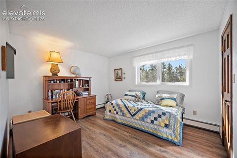 Tiny photo for 400 Sunnywood Lane, Woodland Park, CO 80863 (MLS # 6597548)
