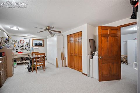 Tiny photo for 400 Sunnywood Lane, Woodland Park, CO 80863 (MLS # 6597548)