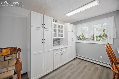 Tiny photo for 400 Sunnywood Lane, Woodland Park, CO 80863 (MLS # 6597548)