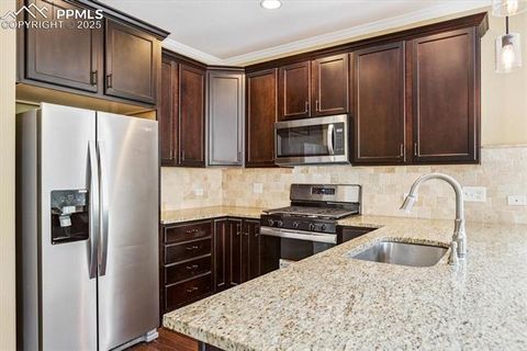 Tiny photo for 960 Fire Rock Place, Colorado Springs, CO 80921 (MLS # 9797951)