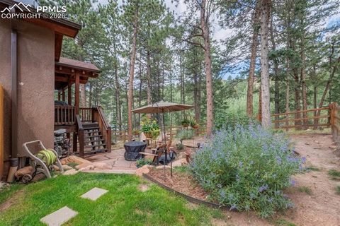 Tiny photo for 135 Cirrus Court, Woodland Park, CO 80863 (MLS # 2538120)
