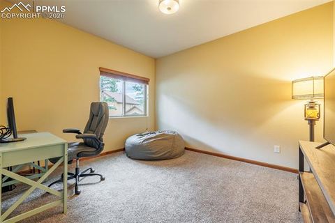 Tiny photo for 135 Cirrus Court, Woodland Park, CO 80863 (MLS # 2538120)