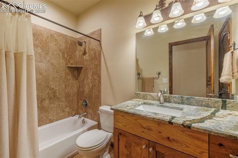 Tiny photo for 135 Cirrus Court, Woodland Park, CO 80863 (MLS # 2538120)