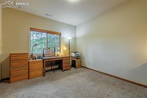 Tiny photo for 135 Cirrus Court, Woodland Park, CO 80863 (MLS # 2538120)