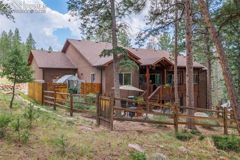Tiny photo for 135 Cirrus Court, Woodland Park, CO 80863 (MLS # 2538120)