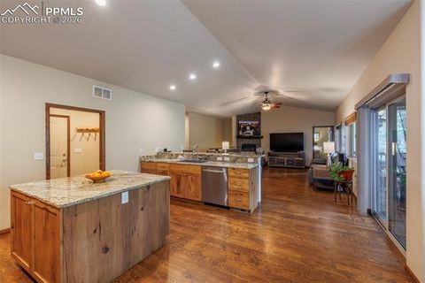 Tiny photo for 135 Cirrus Court, Woodland Park, CO 80863 (MLS # 2538120)