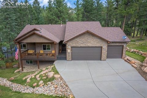 Tiny photo for 135 Cirrus Court, Woodland Park, CO 80863 (MLS # 2538120)