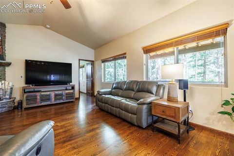 Tiny photo for 135 Cirrus Court, Woodland Park, CO 80863 (MLS # 2538120)