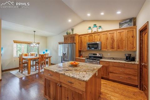 Tiny photo for 135 Cirrus Court, Woodland Park, CO 80863 (MLS # 2538120)