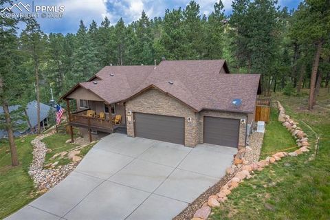 Tiny photo for 135 Cirrus Court, Woodland Park, CO 80863 (MLS # 2538120)