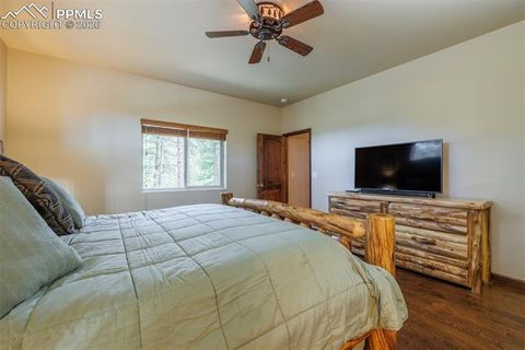 Tiny photo for 135 Cirrus Court, Woodland Park, CO 80863 (MLS # 2538120)