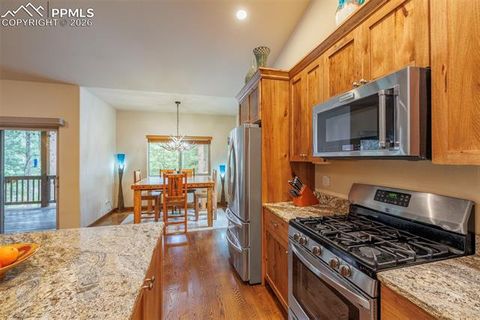 Tiny photo for 135 Cirrus Court, Woodland Park, CO 80863 (MLS # 2538120)