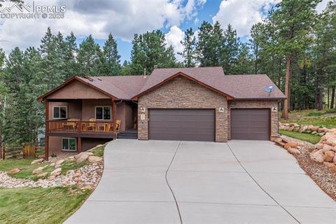 Tiny photo for 135 Cirrus Court, Woodland Park, CO 80863 (MLS # 2538120)