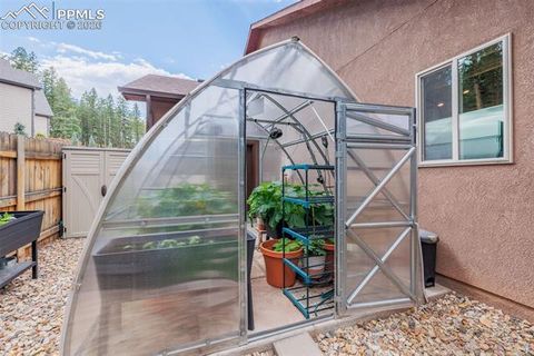 Tiny photo for 135 Cirrus Court, Woodland Park, CO 80863 (MLS # 2538120)