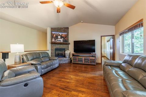 Tiny photo for 135 Cirrus Court, Woodland Park, CO 80863 (MLS # 2538120)