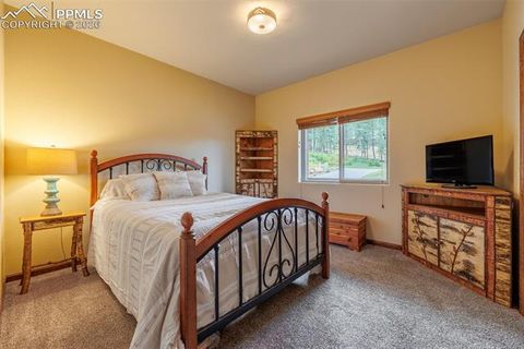 Tiny photo for 135 Cirrus Court, Woodland Park, CO 80863 (MLS # 2538120)