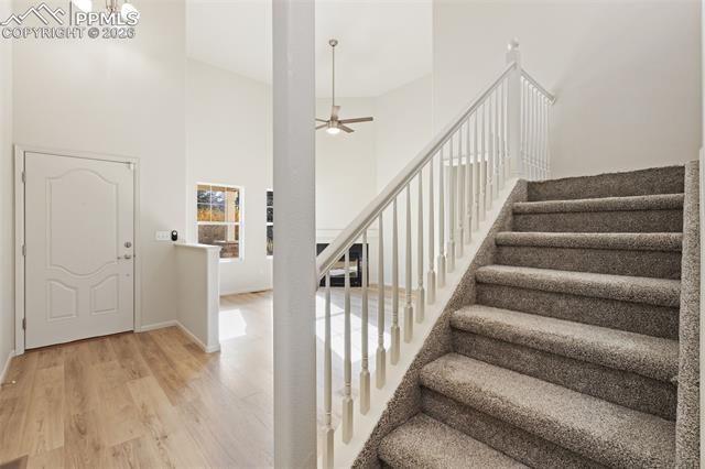 5645 Saint Patrick View