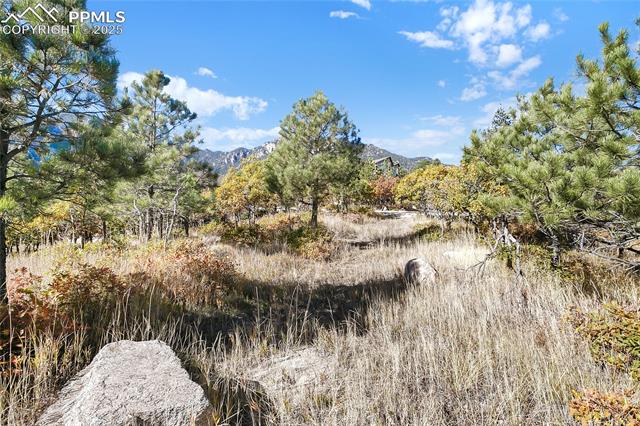 4688 Stone Manor Heights